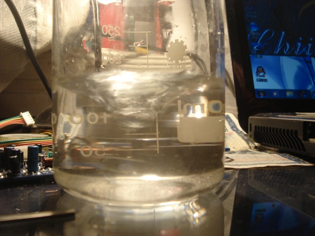 DSC05716.jpg