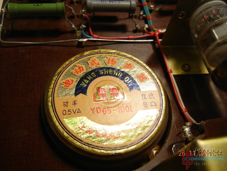 DSCN2313.jpg