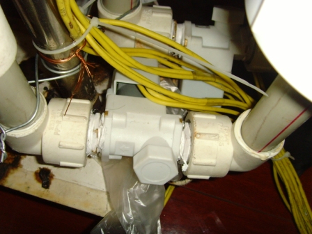 SNV36494.jpg