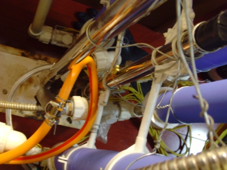 SNV36496.jpg