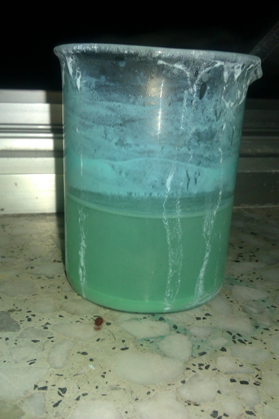 IMAG0166.jpg