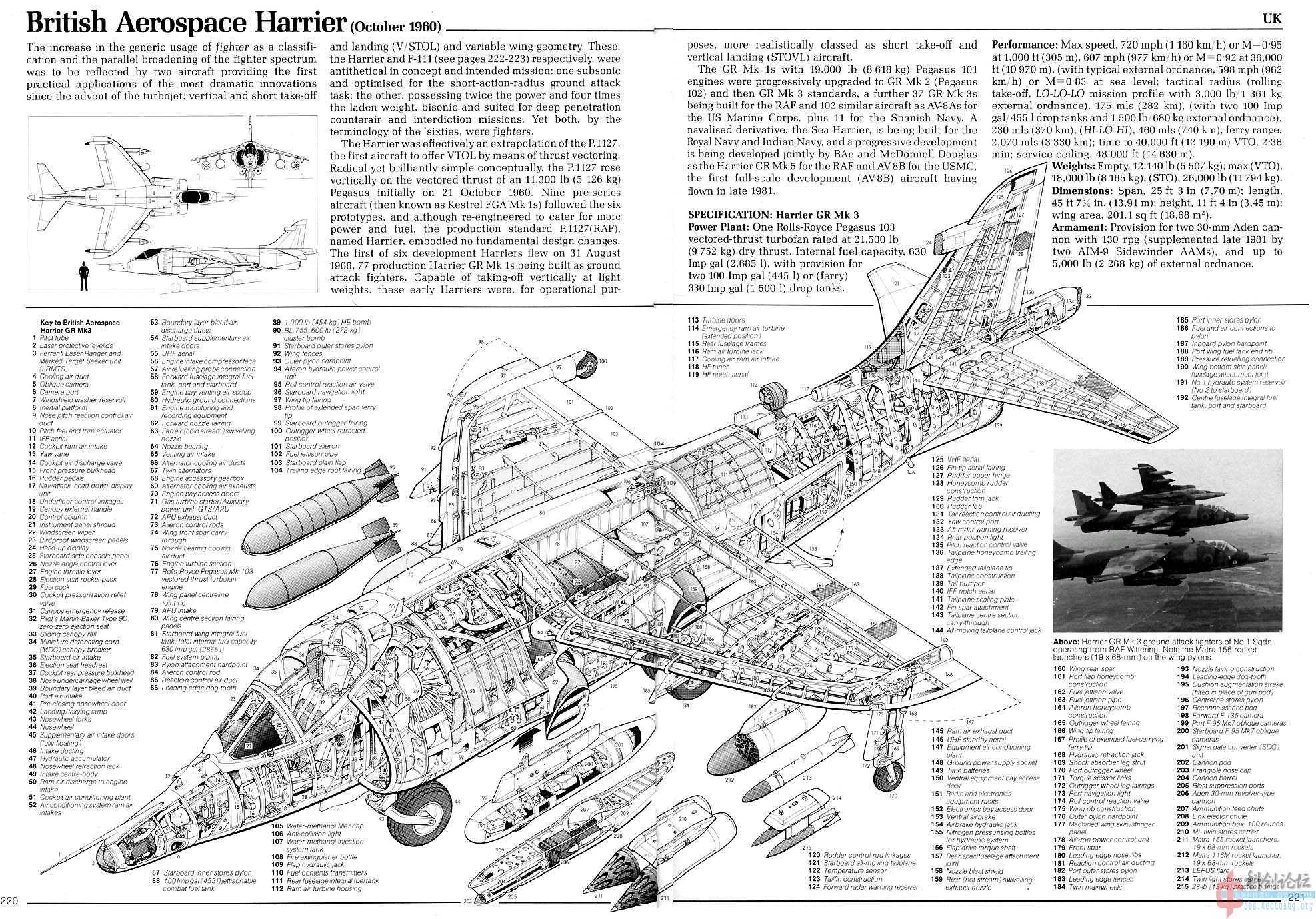 605723510[1].jpg
