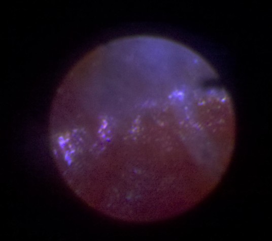 M.jpg