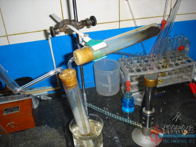 DSC07311.jpg