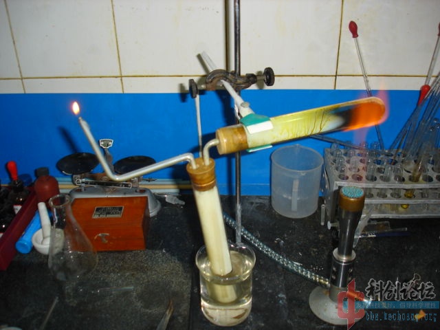 DSC07313.jpg