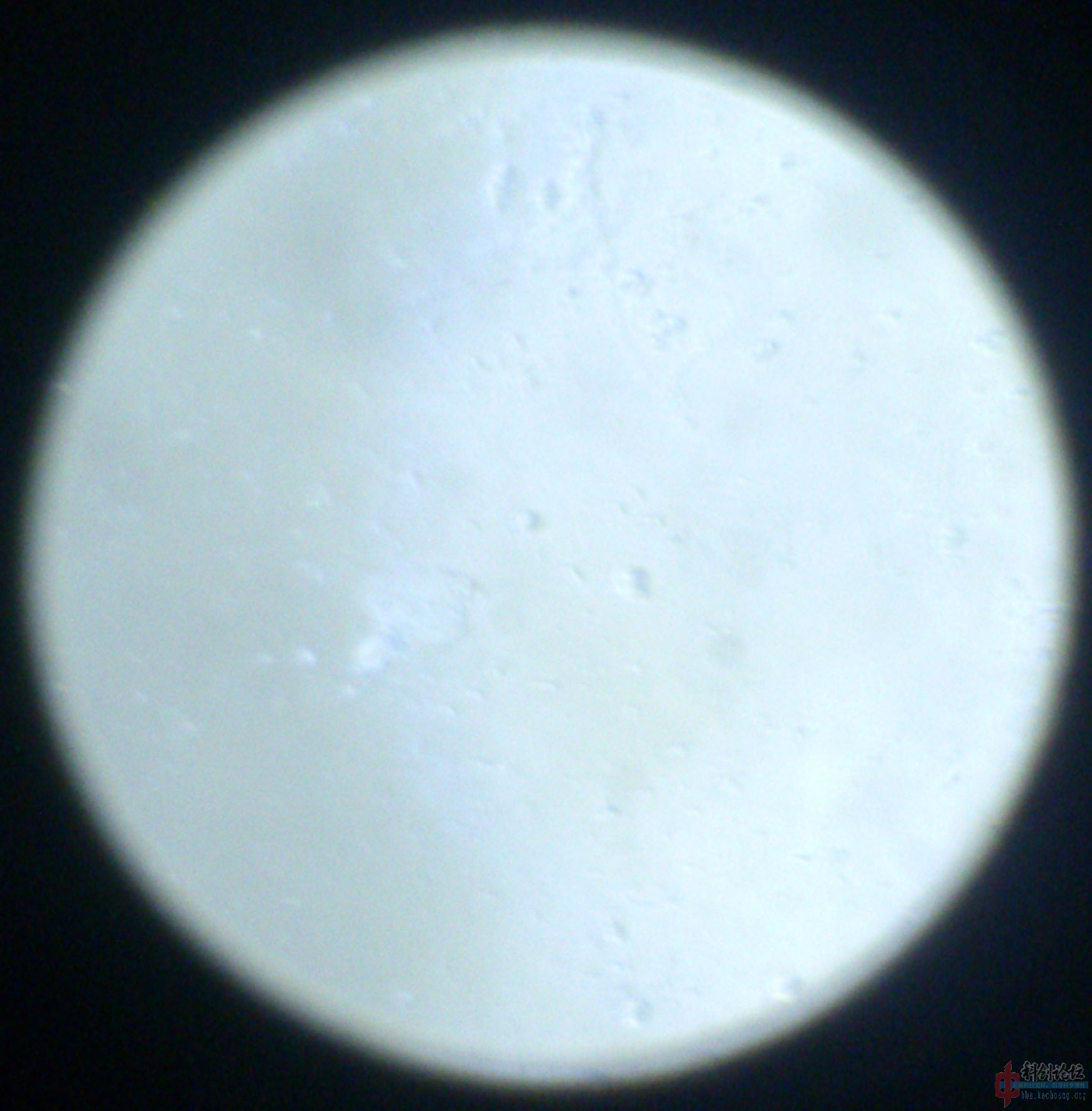 DSC_0287.jpg