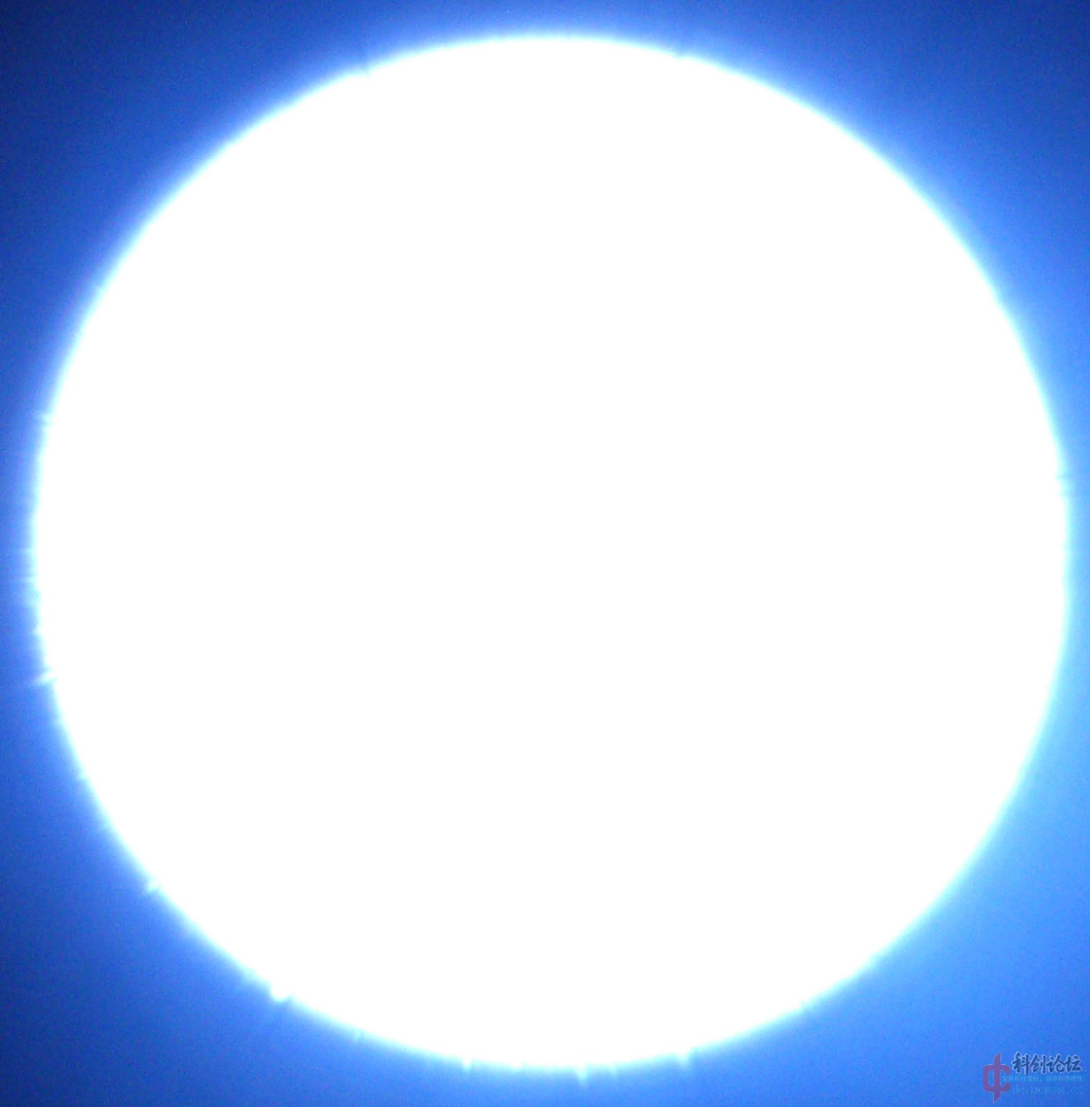 DSC_0291.jpg