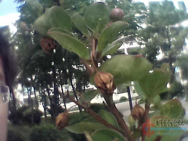 2012-08-24-058.jpg