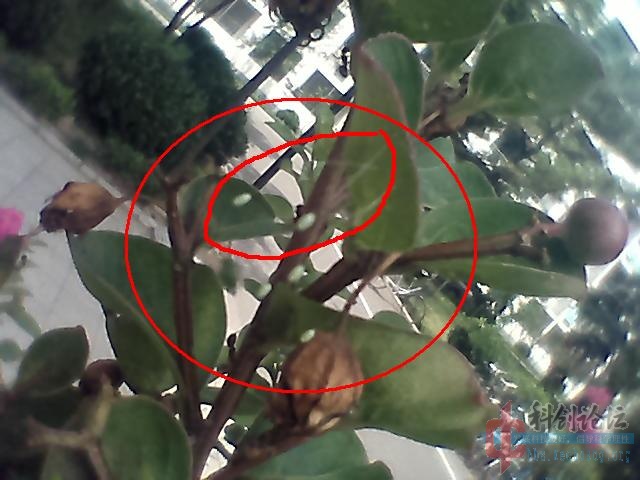 2012-08-24-0553.jpg