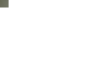 PA260009~1.gif