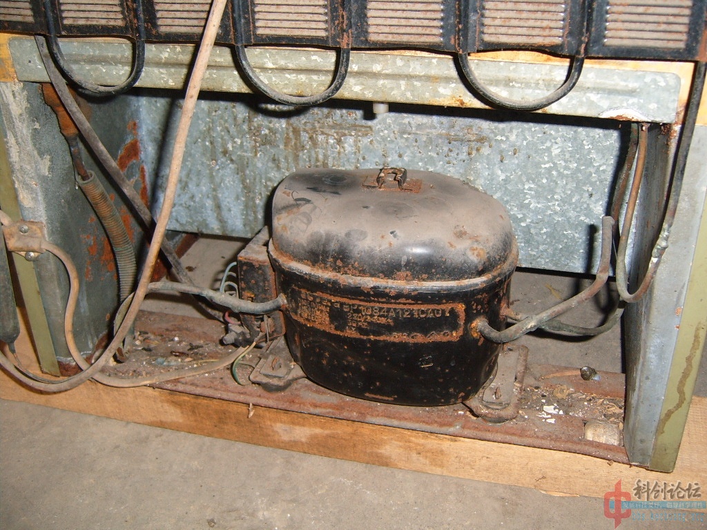 S3700160.jpg