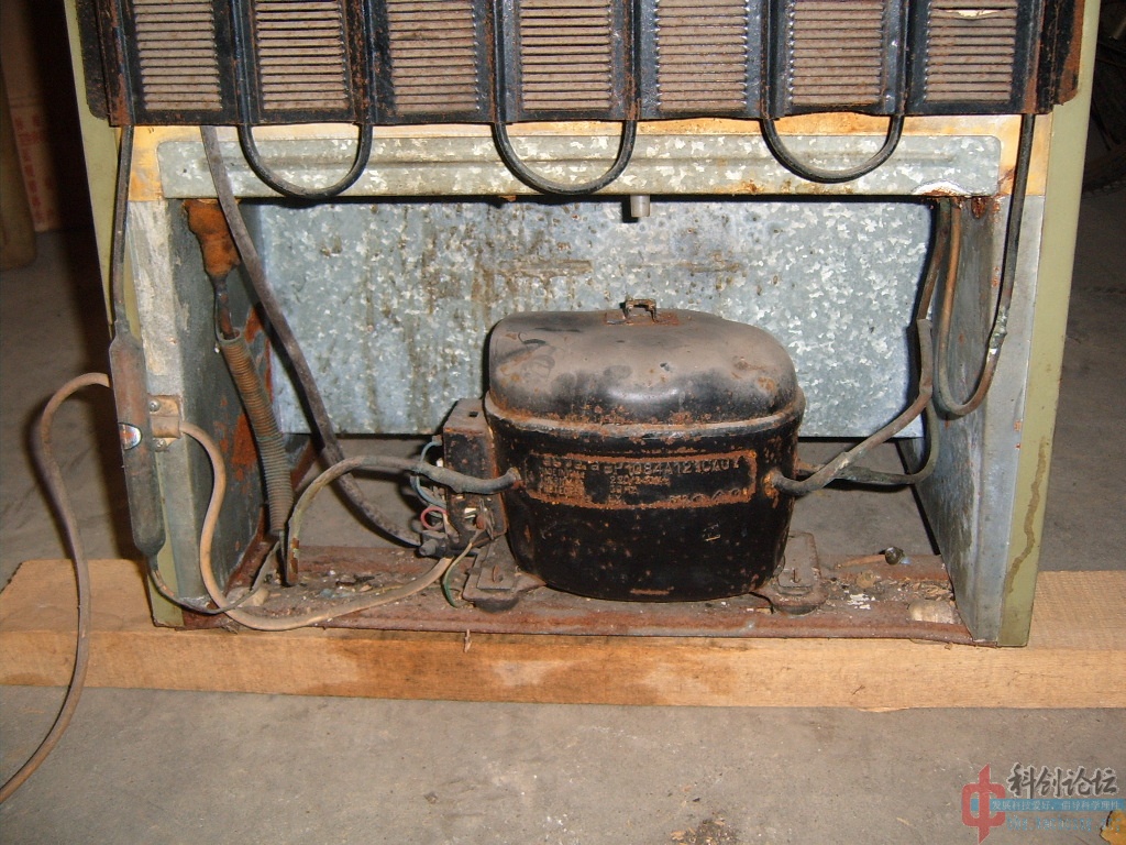S3700161.jpg