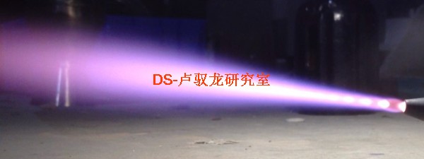 DS-Y02.jpg