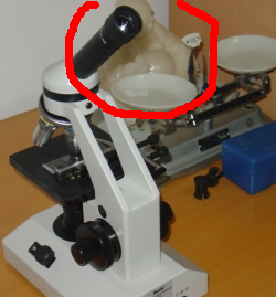 editor.png