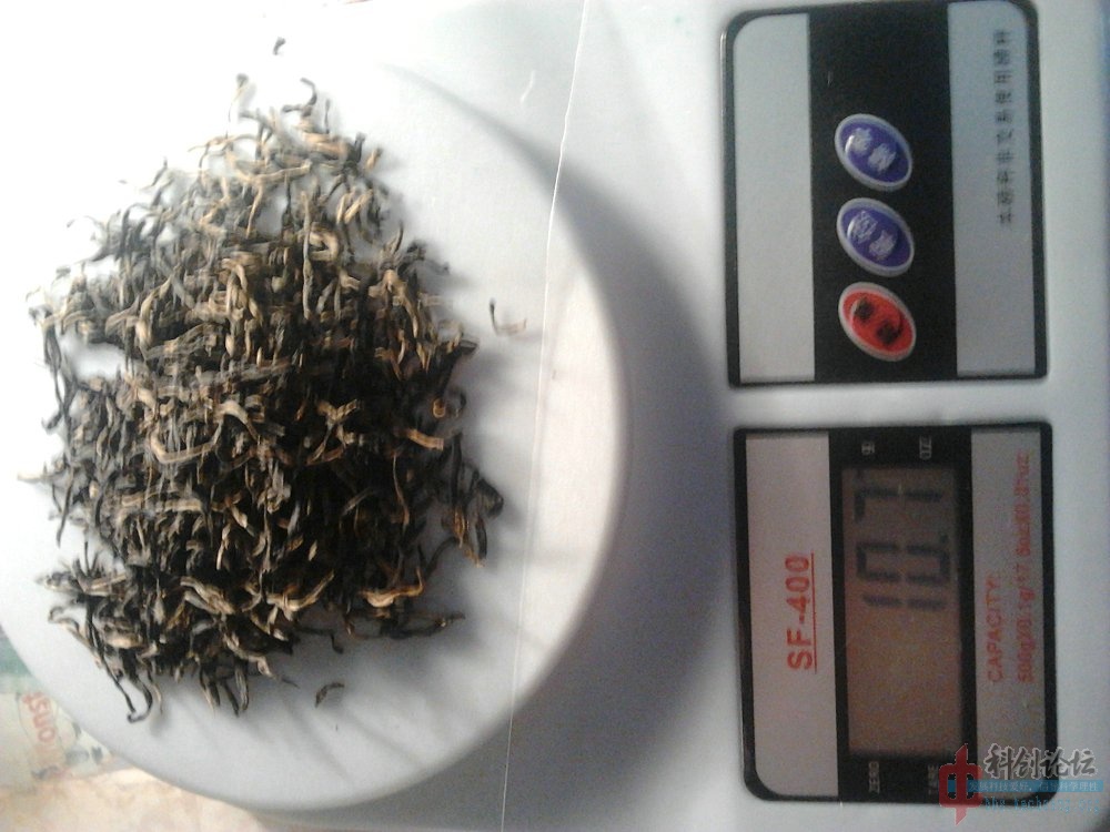 2013-01-05 19.03.19.jpg