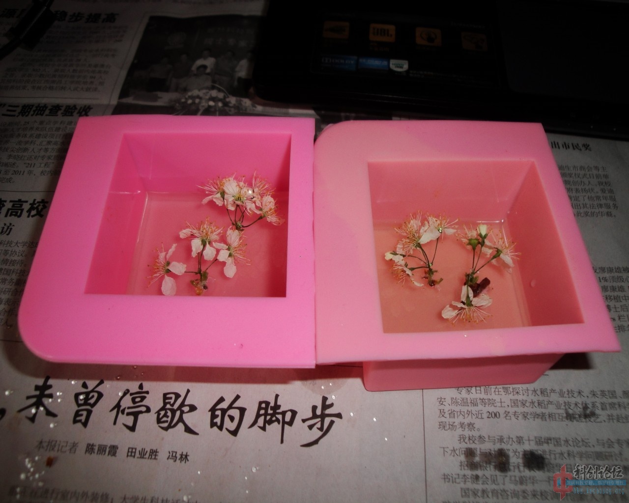 花朵粘粘 (3).jpg