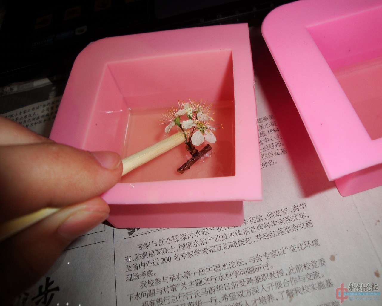 花朵粘粘.jpg