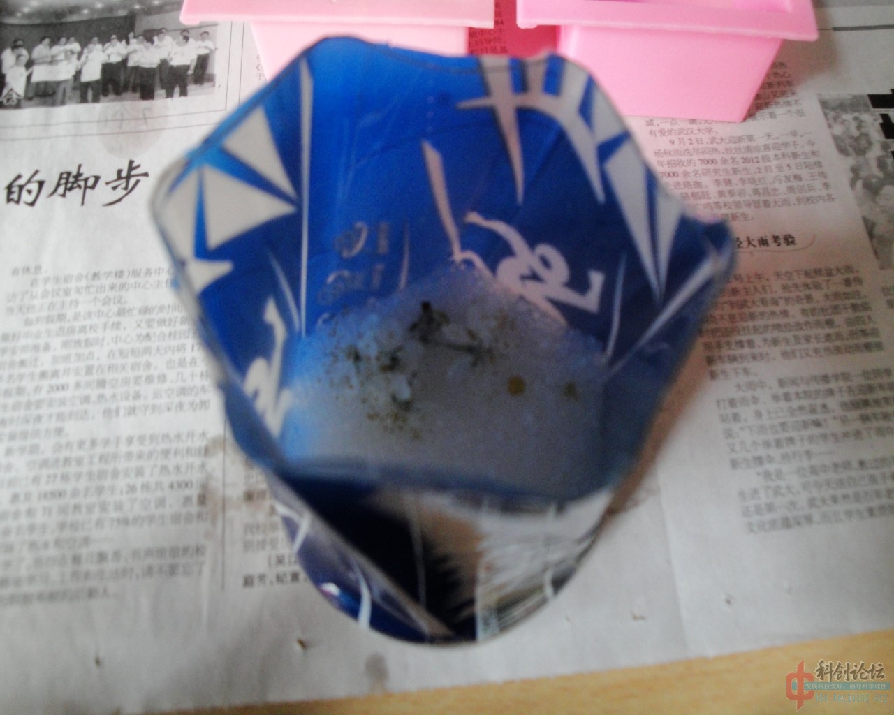 干燥花.jpg