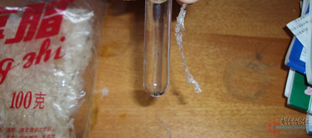 ant work4.jpg