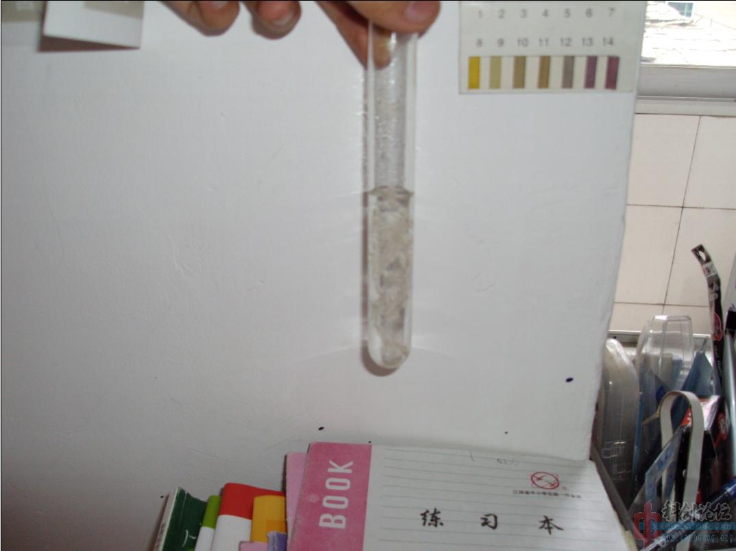antwork5.jpg