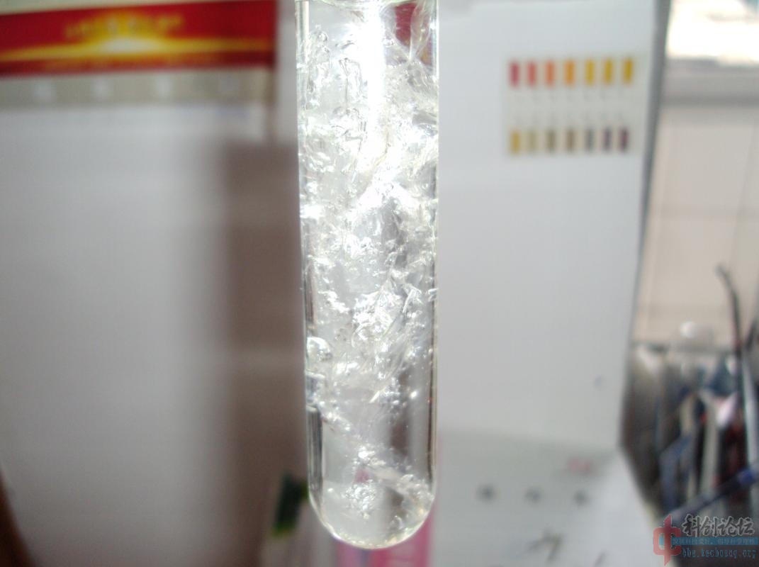 ant work6.jpg