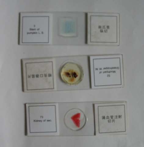 QQ图片20130817103815.jpg