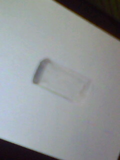 IMG0813A.jpg