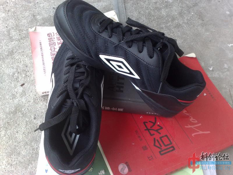 201309181312.jpg