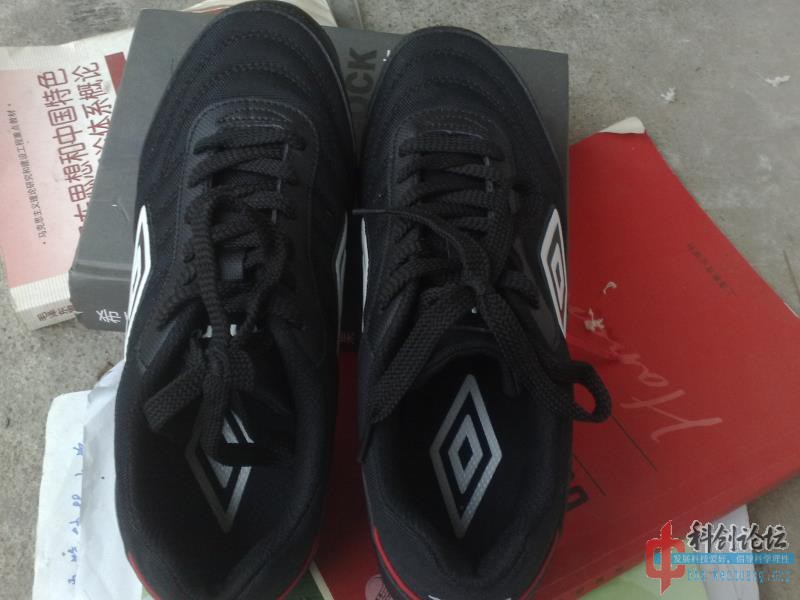 201309181317.jpg