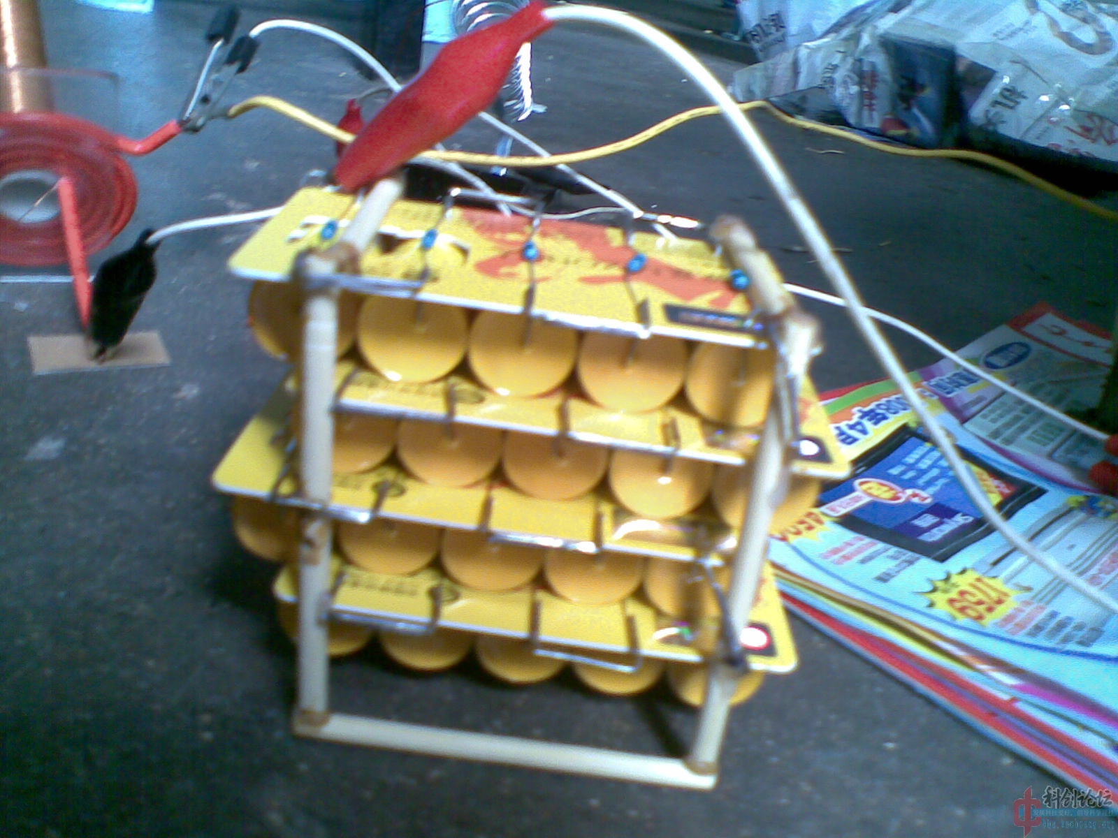 20090527.jpg