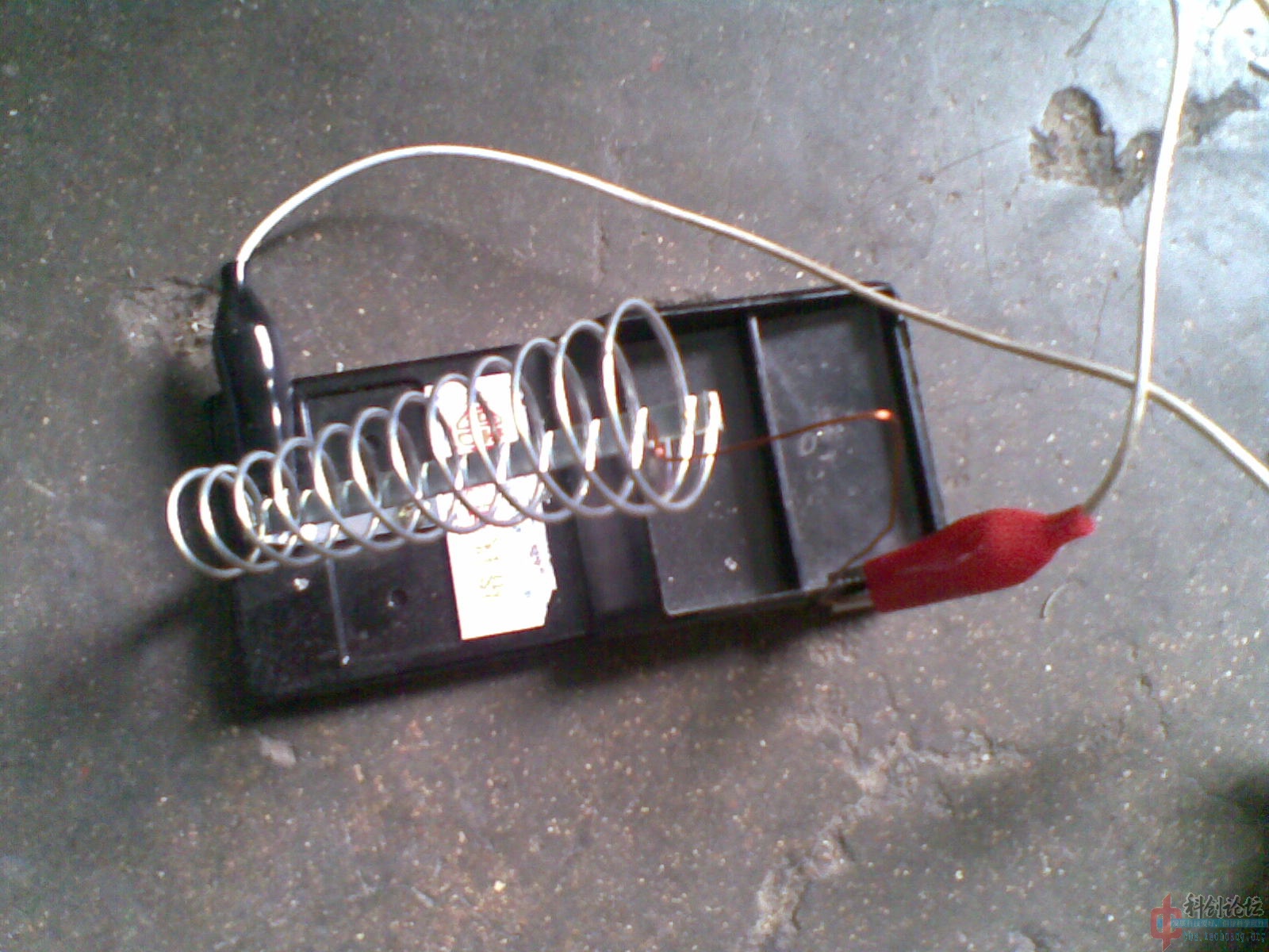 20090527(002).jpg