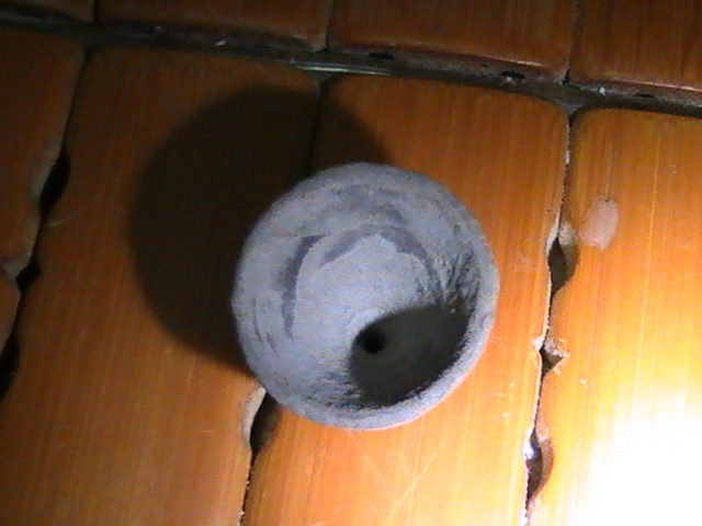 PIC_1786.jpg