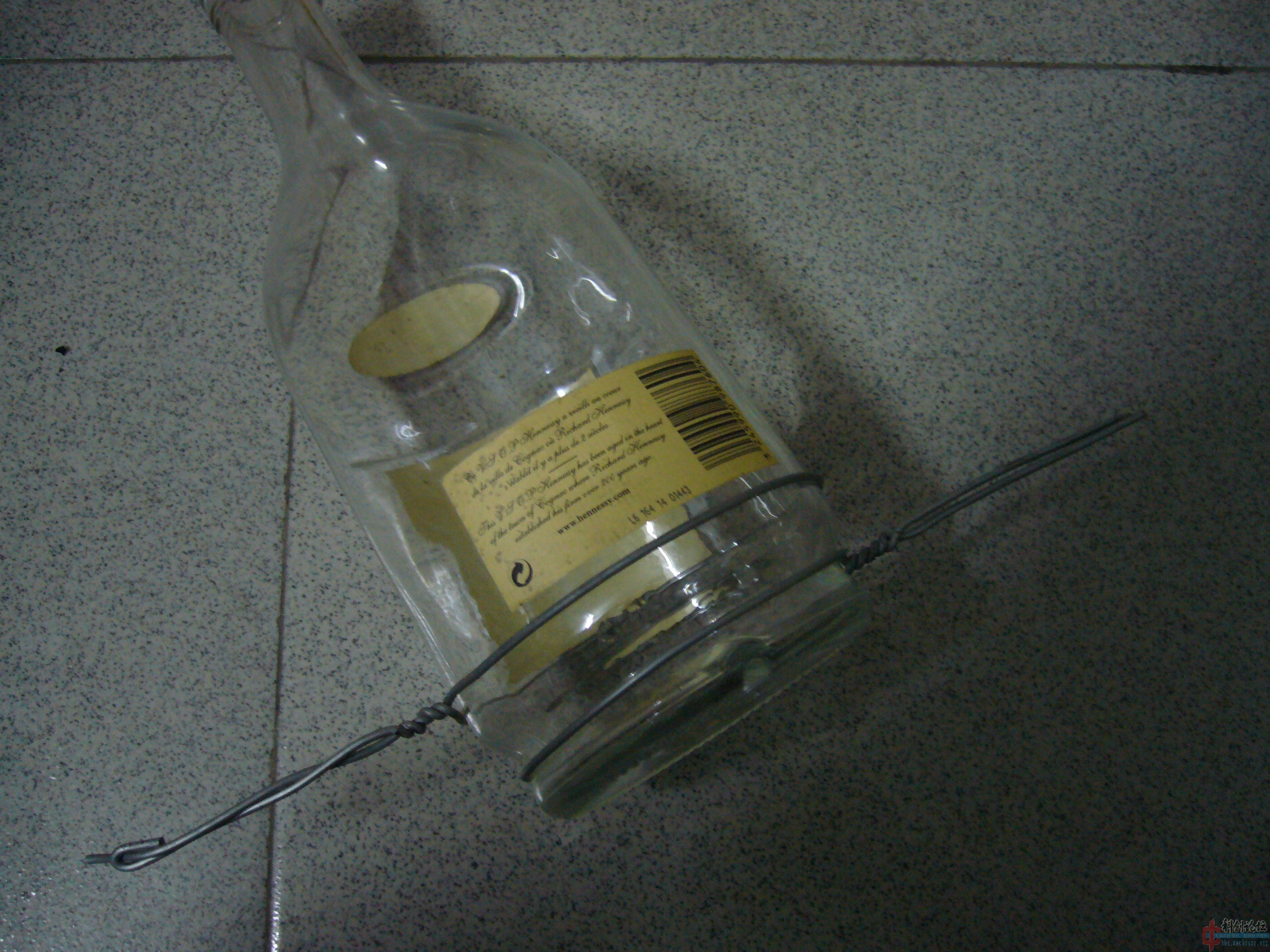 P1050970.jpg