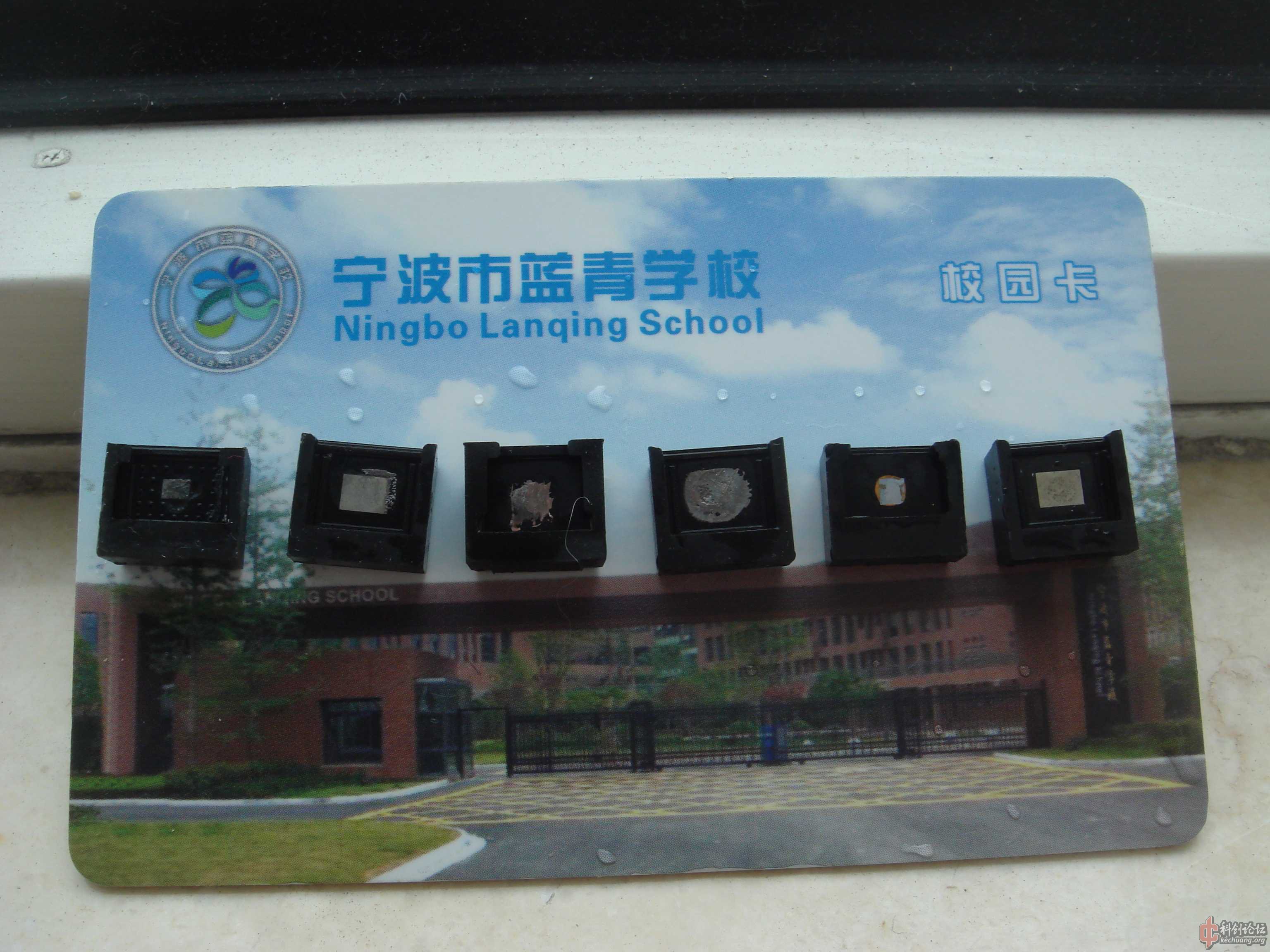 DSC08126.jpg