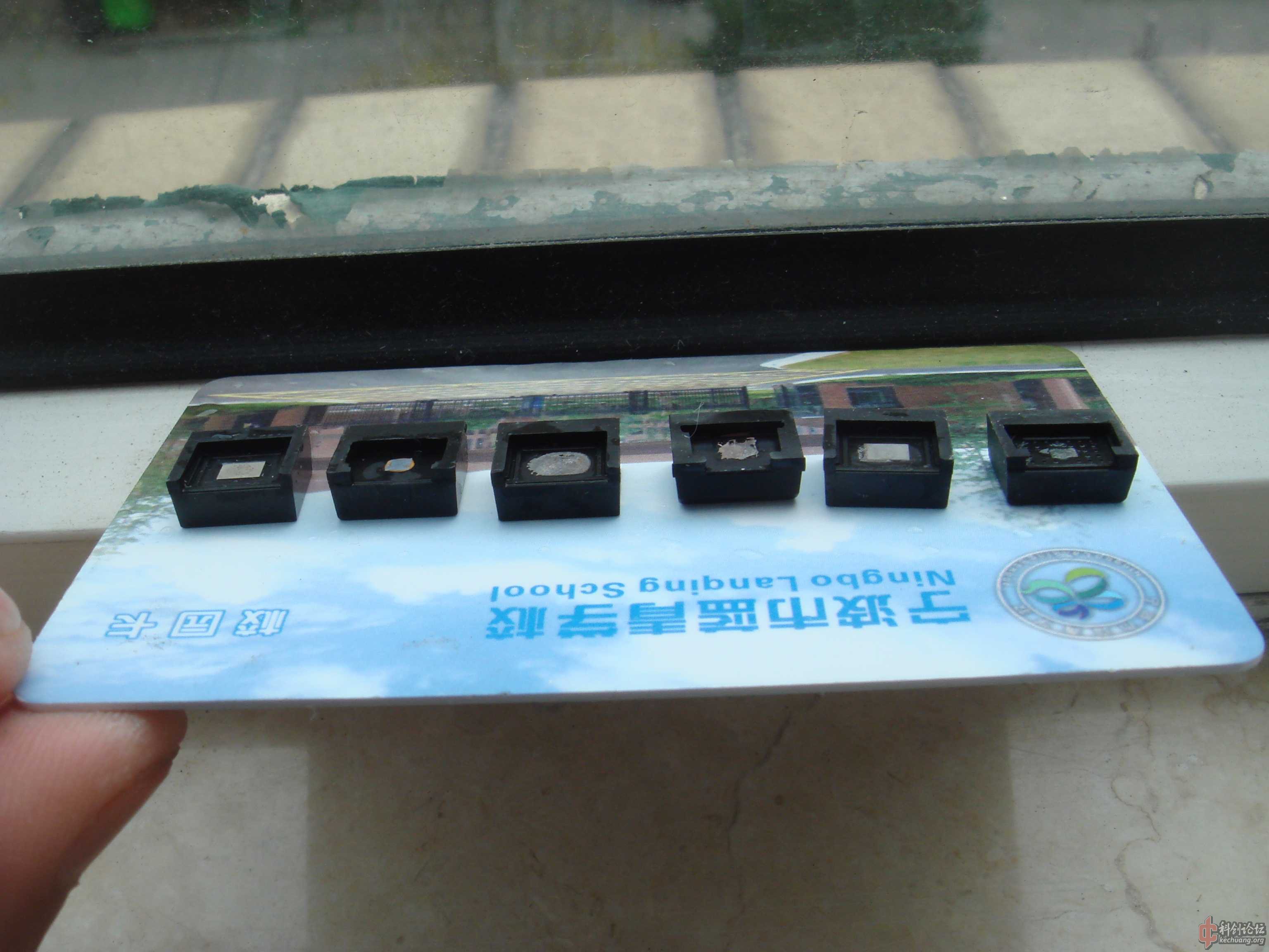 DSC08128.jpg