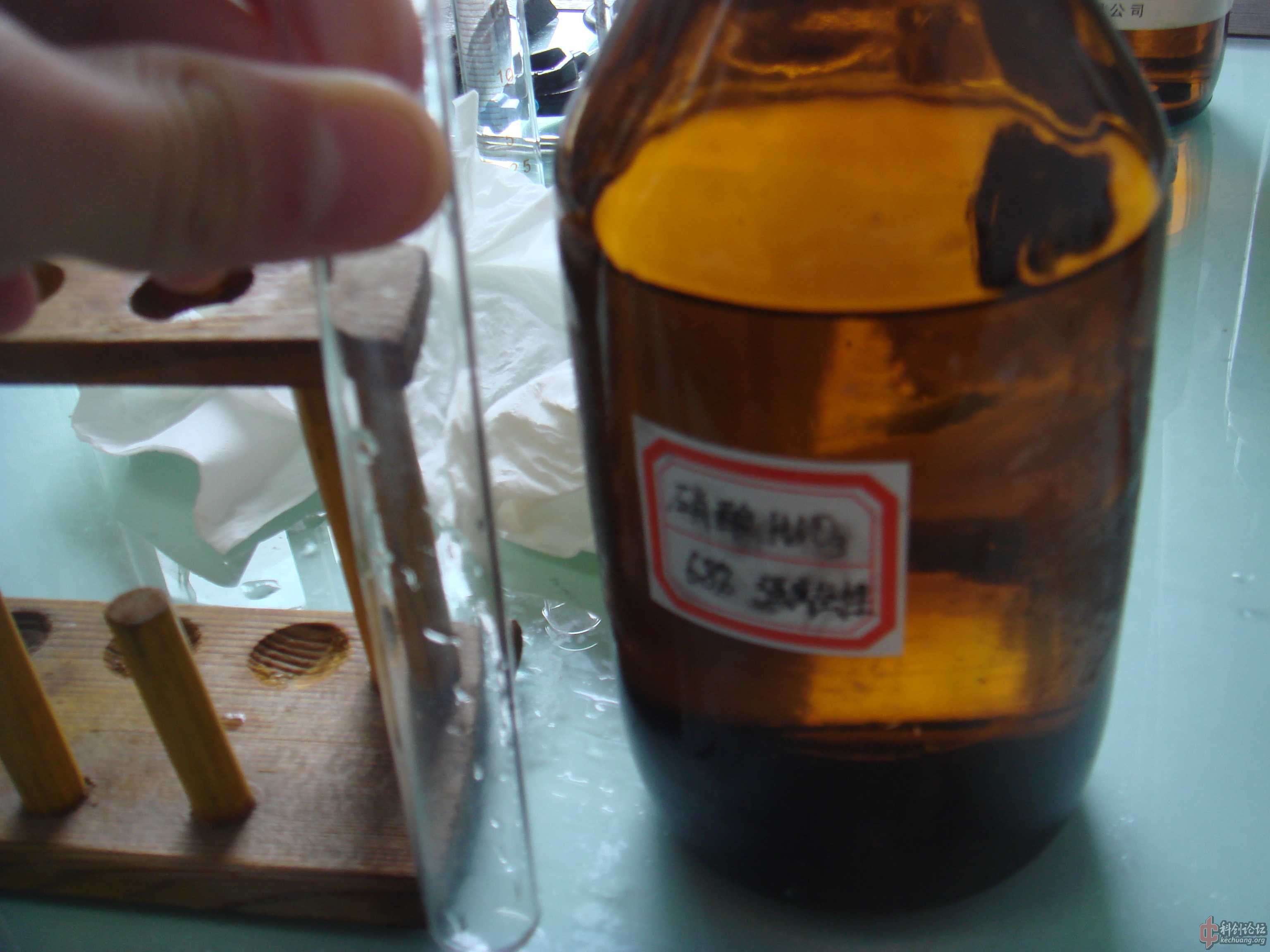 DSC08130.jpg