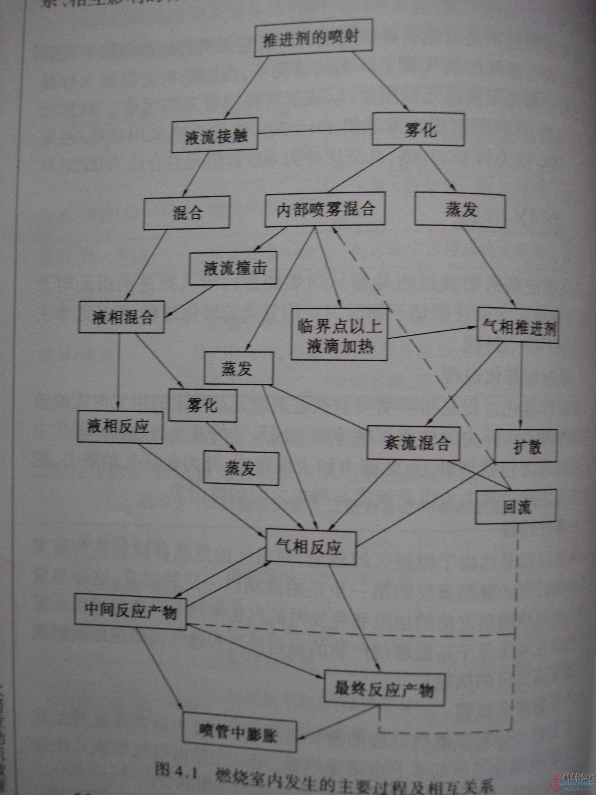 DSC08175.jpg