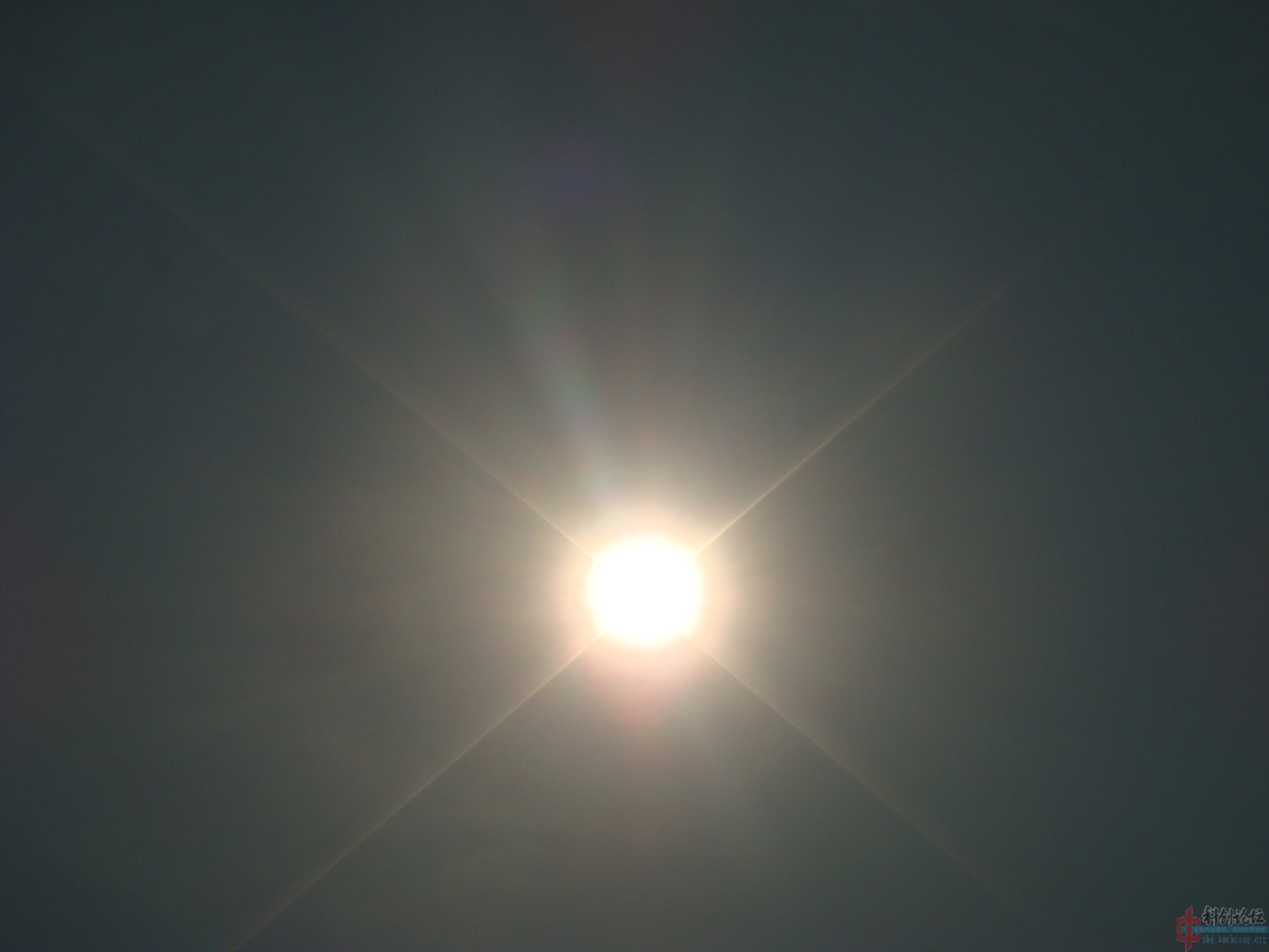 DSC05401.jpg