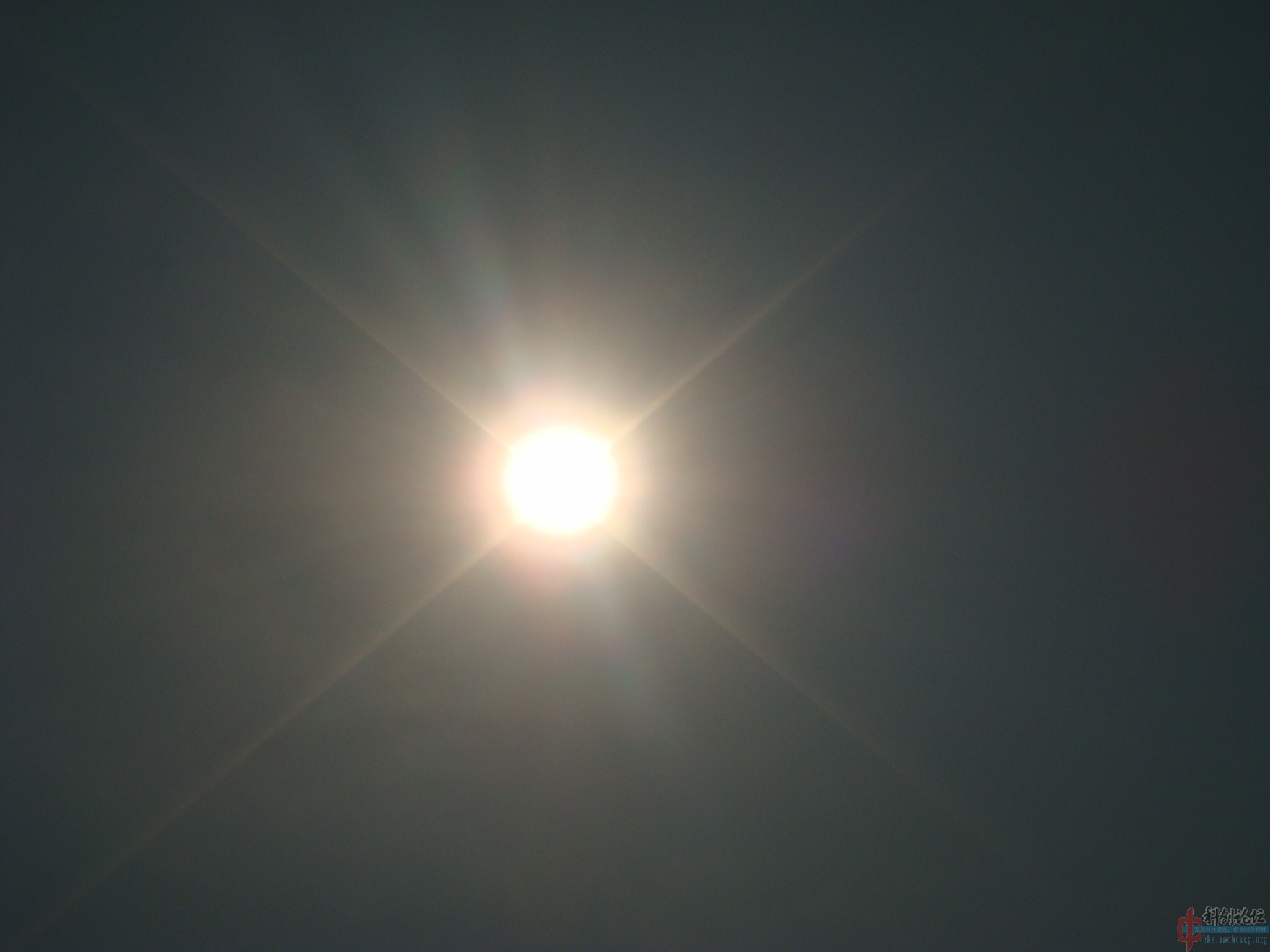 DSC05402.jpg
