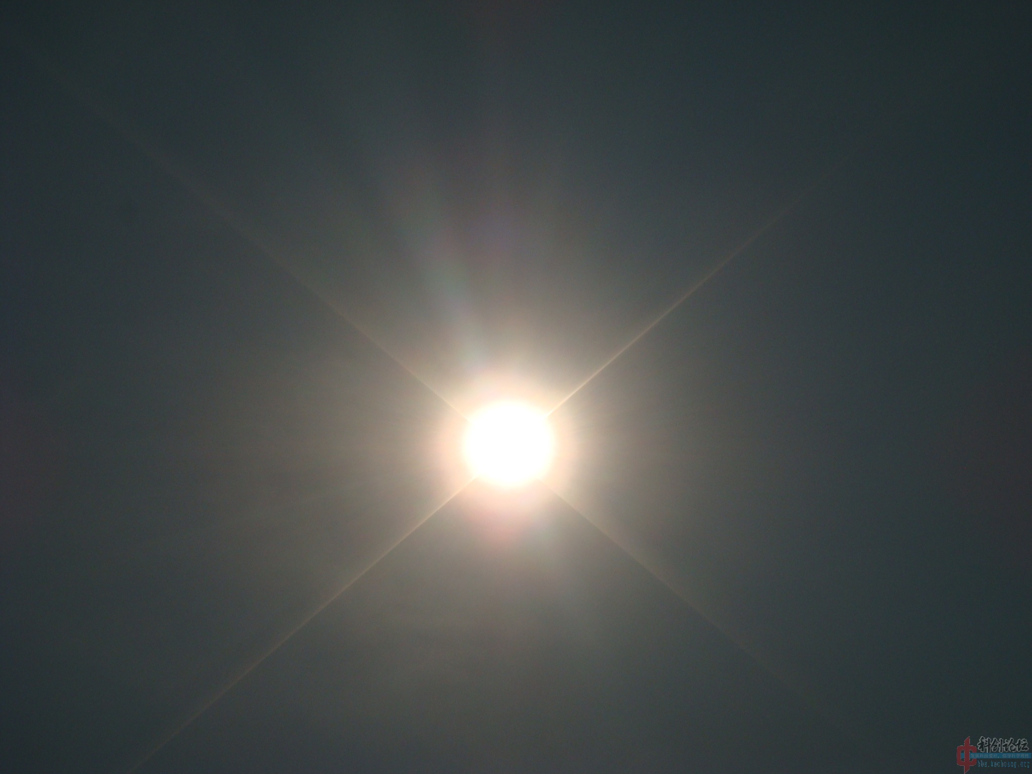 DSC05403.jpg