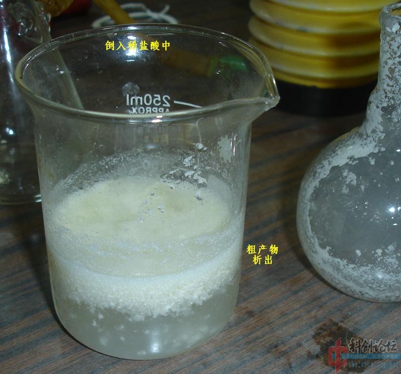 DSC03526.jpg