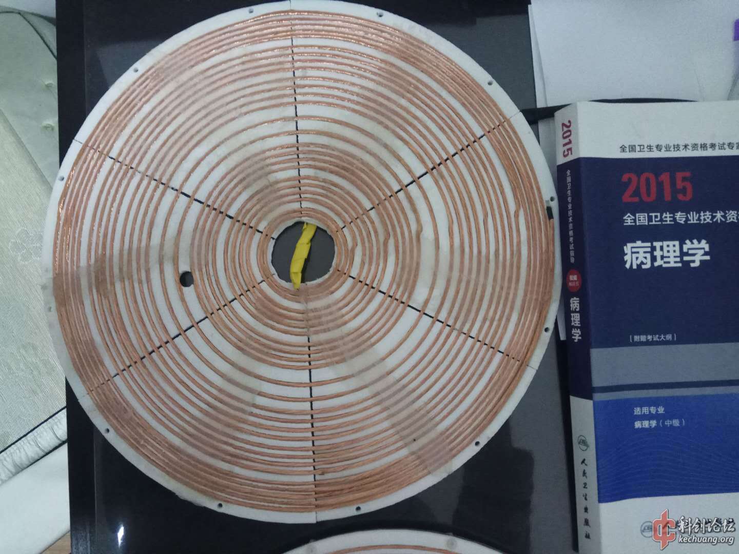 51450747.jpg