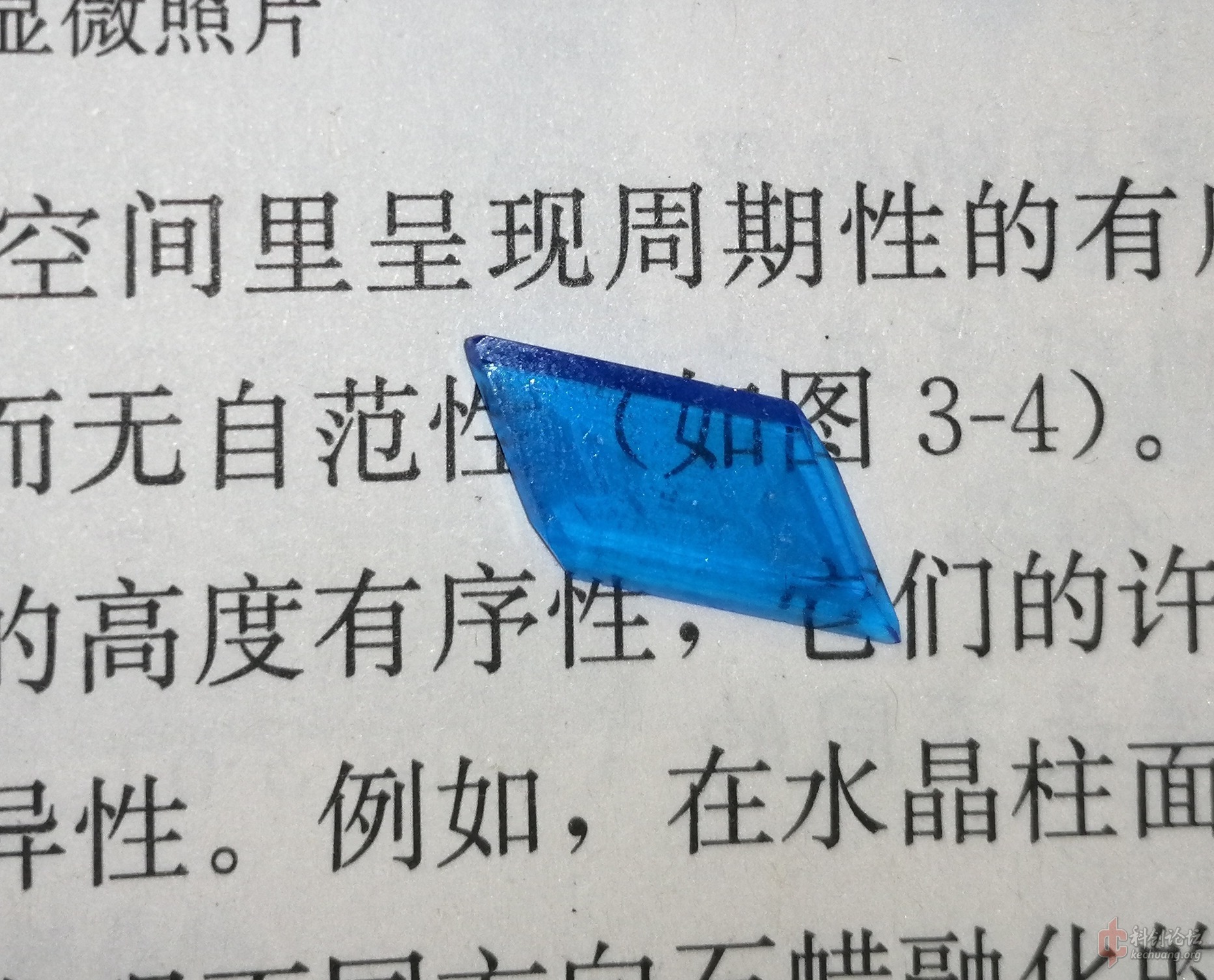 1598616699054.jpg