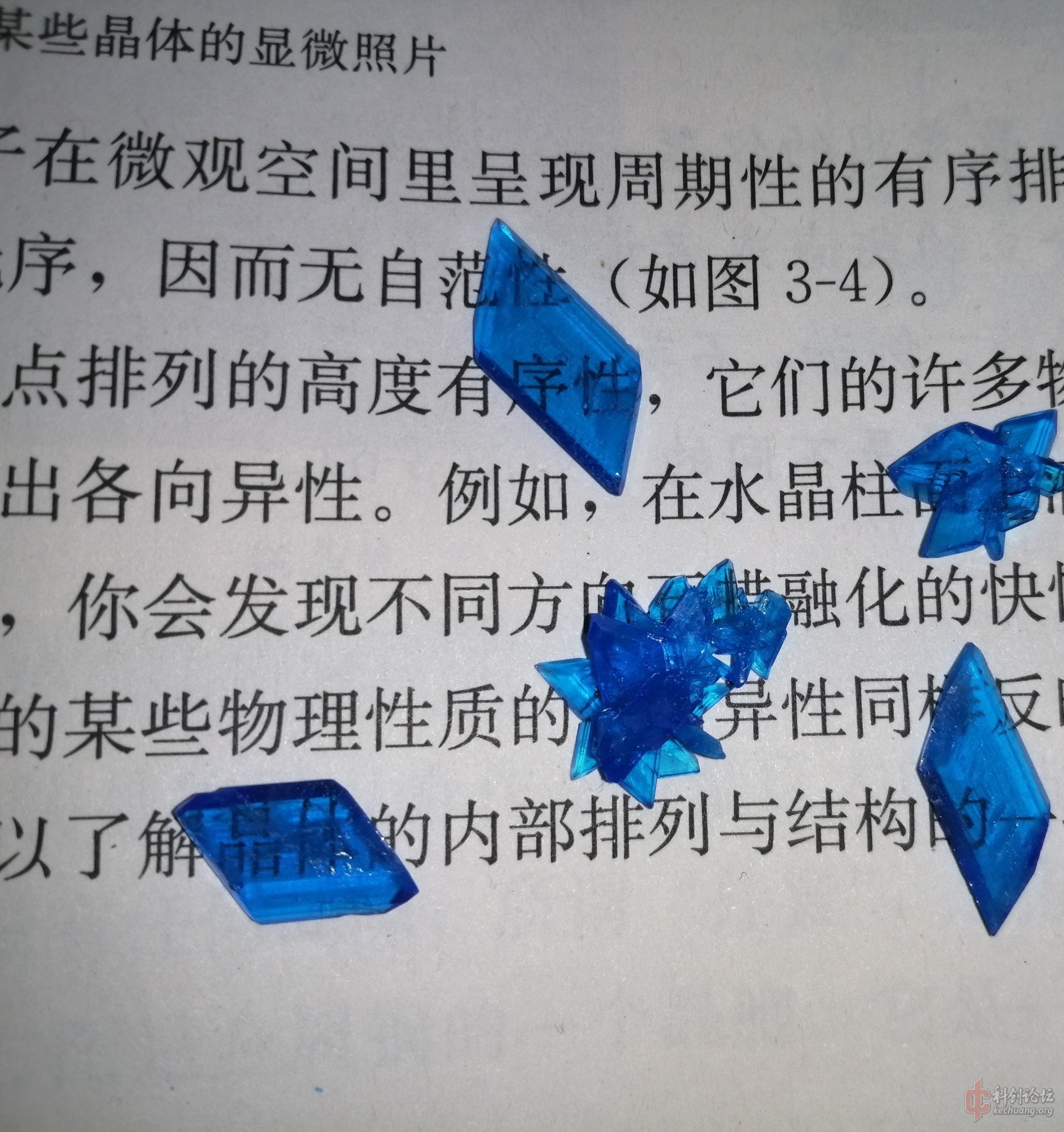 1598617250116.jpg
