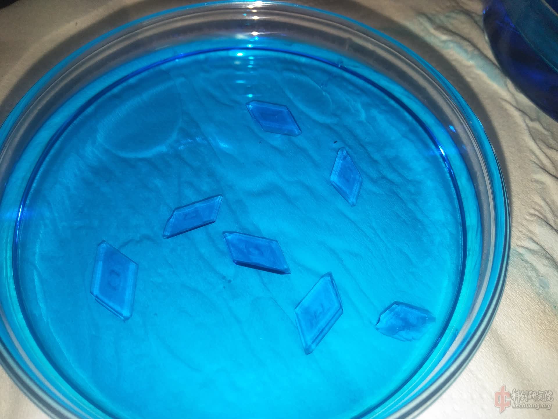 IMG20221026195316.jpg