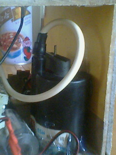 IMG0343A.jpg