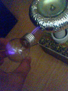 IMG0345A.jpg