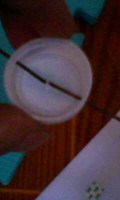 IMG0021A.jpg