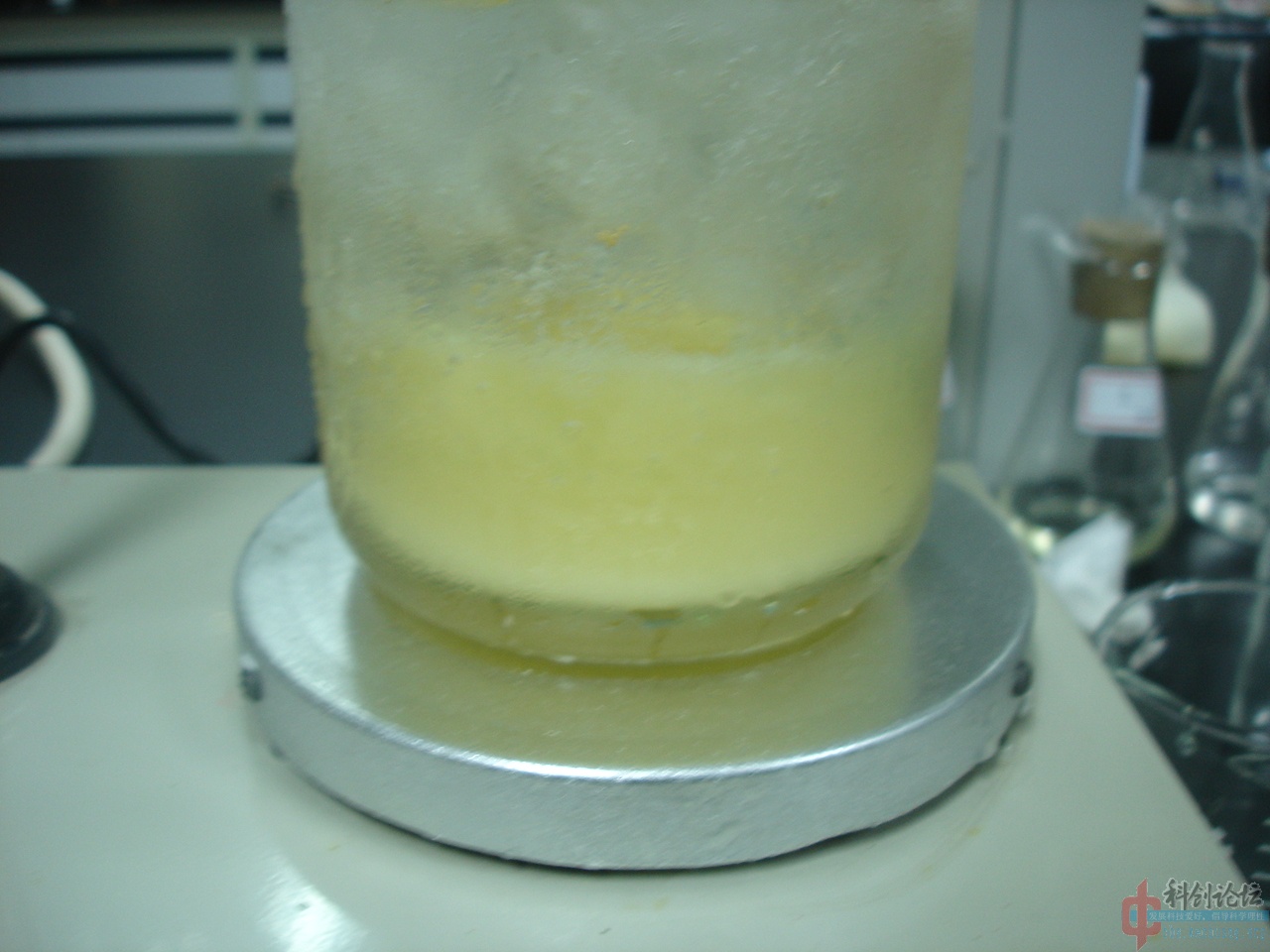 DSC04281.jpg