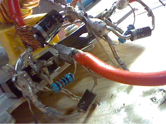 Picture 28.jpg